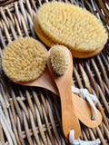 Dry Brush Set of 3, photo 1