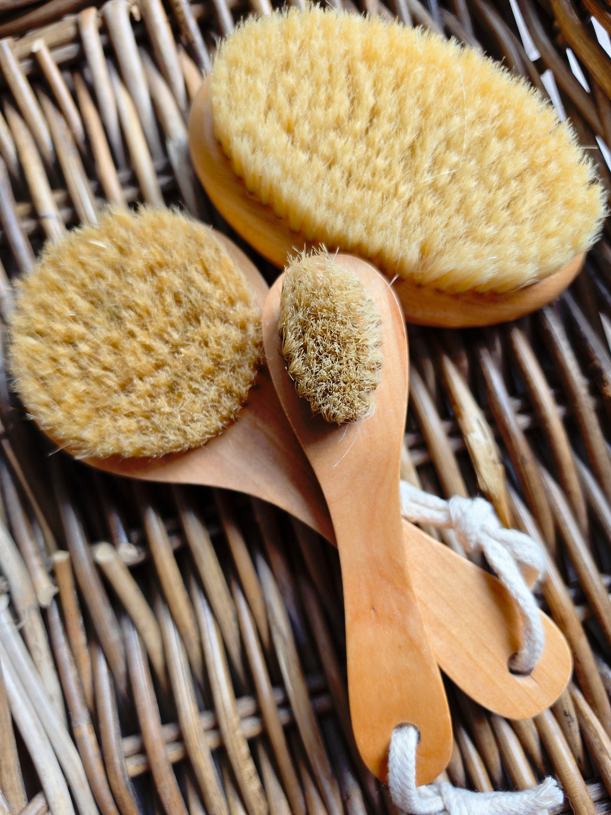 Dry Brush Set of 3, photo 1